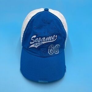Y2K Sesame Place Hat